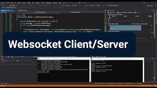 Websocket ClientServer App with C Visual Studio [upl. by Yziar]