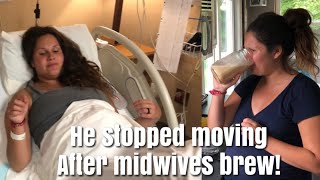 TAKING MIDWIVES BREW  LABOR AND DELIVERY [upl. by Alansen]