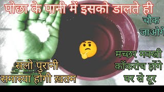 पोछा के पानी में इसको डालते ही रोजरोज झाड़ू पोछा करने की टेंशन होगी खत्म cleaning tips kitchen tips [upl. by Eisac]