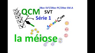 QCM1svt 2Bac SVTPCSMA La méiose [upl. by Houser]