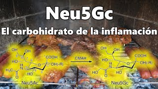 Neu5Gc La Molécula que causa enfermedades idiopáticas de origen autoinmune con Augusto Acconciagico [upl. by Juna444]