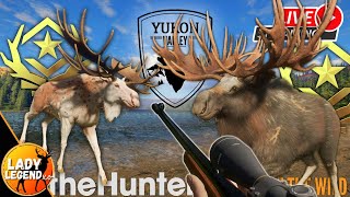 510 Kills into the YUKON Great One MOOSE Grind amp Revontuli Hunt After  LIVE [upl. by Minni503]