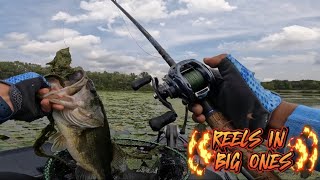 NEW DAIWA TATULA SV TW 2024 REVIEW SUMMER FROG FISHING4K [upl. by Ahseekal608]