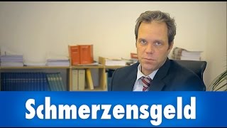 Schmerzensgeld  Fachanwalt Verkehrsrecht Dr Hartmann amp Partner Oranienburg Rechtsanwalt [upl. by Yenahc]