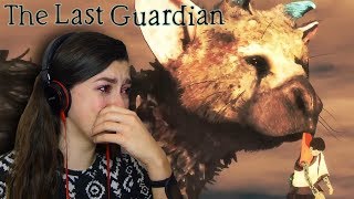 MY HEART IS BROKEN  The Last Guardian 22 FINAL [upl. by Ydroj]