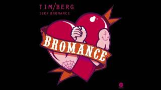 Tim Berg  Seek Bromance Aviciis Radio Edit [upl. by Bethesde]