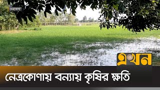 নেত্রকোণায় বন্যায় কৃষির ক্ষতি  Netrokona News  Ekhon TV [upl. by Ev]