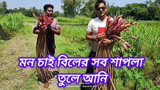 মন মাতানো লাল শাপলা দেখলেই তুলতে মন চাই  mhrbt channel [upl. by Pharaoh316]