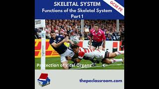 P1 AQA GCSE PE Functions of the Skeletal System [upl. by Dwane]