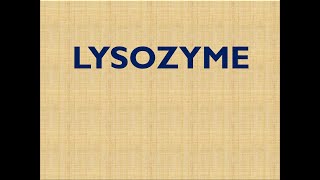 LYSOZYME [upl. by Naelopan423]