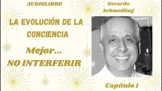 9  ¿Como hacer para NO INTERFERIR en la Experiencia del Otro  Gerardo Schmedling [upl. by Micah]