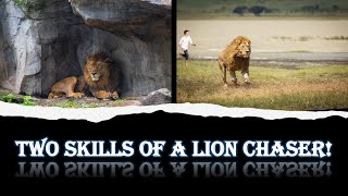 Two Skills of a Lion Chaser [upl. by Moises]