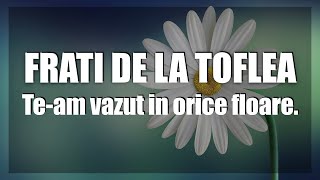 Frati de la Toflea  Te am vazut in orice floare  Versuri [upl. by Nolahp651]