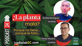 ¿La Planta mala Porque no tiene porque le falta  Podcast 24 LosPodcastDeOlive [upl. by Ij891]