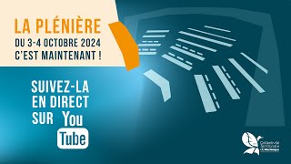 Séance Plénière de lAssemblée de Martinique  04 octobre 2024 [upl. by Annayoj]