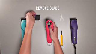 How to change the drive tip on detachable blade clippers [upl. by Seroka]