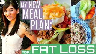 MY NEW MEAL PLAN FOR FAT LOSS FULL DAY OF EATING [upl. by Ingrim542]