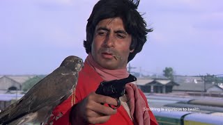 Coolie 1983  Full Bollywood Movie  Amitabh Bachchan Rishi Kapoor  Blockbuster Hindi Movie [upl. by Brenna]