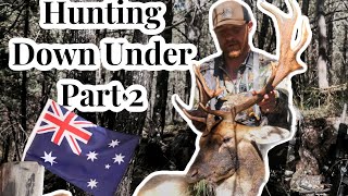 HUNTING AUSTRALIA FALLOW DEER HUNTING JUST RELENTLESS DOWN UNDER PART 2 [upl. by Tailor541]