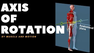 Understanding Axes of MovementRotation [upl. by Ozner]