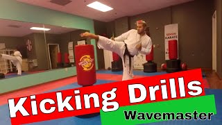 Kicking Drills for Wavemaster Freestanding Punching Bag [upl. by Mayce]