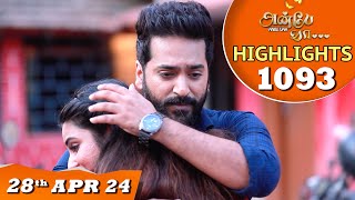 Anbe Vaa Serial  EP 1093 Highlights 28th April 24  Virat  Shree Gopika  Saregama TV Shows Tamil [upl. by Hammond947]