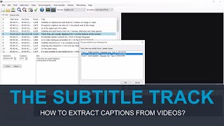 How to EXTRACT CAPTIONS from video files  Video Course Caption This [upl. by Sewoll]