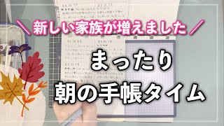 【雑談】新しい家族が増えて、手帳会議が全然進みません🤣／まったり朝の手帳タイム [upl. by Ticon]