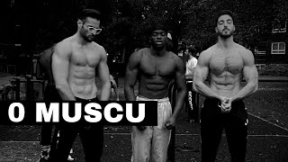 COMMENT TOUJOURS PRENDRE DU MUSCLE en Street Workout [upl. by Norvun]