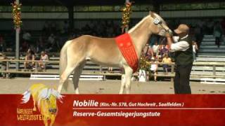 Haflinger Weltausstellung 2010  Highlights Samstag [upl. by Uolyram]