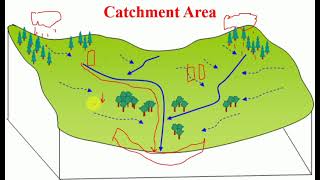 What is a Catchment Area and how does it work [upl. by Anoif]