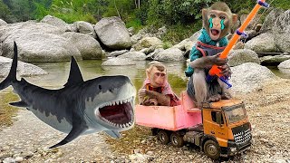 Best moments Little monkey Bim Bim meets a shark  Full version [upl. by Peta]