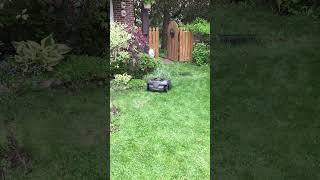 husqvarna automower 430XH robotic lawnmower gps assisted navigation [upl. by Octavia]