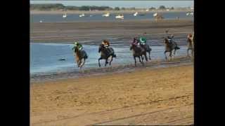 CARRERAS DE CABALLOS DE SANLÚCAR DE BARRAMEDA [upl. by Reeher]