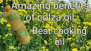 AMAZING BENEFITS OF COLZA OIL  HEALTHY OIL FOR BABY WITH OMEGA3 amp OMEGA9 [upl. by Ogdon235]