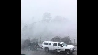 Hurricane Michael in Marianna Florida  10102018 [upl. by Otero694]