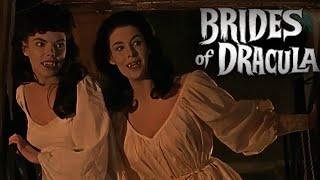 The Brides of Dracula The Vampiress Film Recap [upl. by Lorita197]