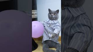 Hot Body Try This Amazing Weight Loss Hack🤪🏃‍♀️ funnycat lifehacks catmemes trending [upl. by Hartley]