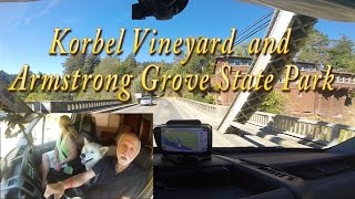 cTv Korbel Vineyards and enjoying cool Armstrong Redwood Grove State Park [upl. by Kathlene]