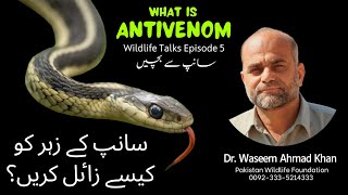 What is Antivenom  How Antivenom is Made  Agar Sanp Kat Lay to Kya Karna Chaheye  Antivenom [upl. by Eimma]