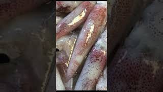 Fresh squid Grilled Chromatophores  Street Food Thailand  Shorts [upl. by Ydarb]