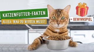 5 KatzenfutterMythen die TÖDLICH enden können  DrClauder´s Gewinnspiel [upl. by Mond796]