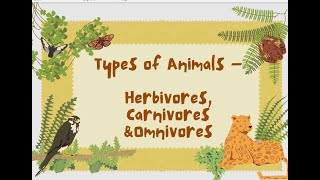 Types of animals Herbivores Carnivores amp Omnivores Kids learning Eating habit of animals [upl. by Buine425]