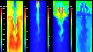 Gasifier  downdraft  coal  gaseous species [upl. by Bathsheba]