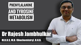 4 Phenylalanine and tyrosine metabolism [upl. by Meg]