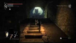 Demons Souls Walkthrough  Boletarian Palace 12  Part 1 [upl. by Hartill956]