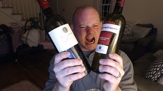 The Dueling Montepulcianos Vino Nobile vs dAbruzzo  TheWineStalkernet [upl. by Aynekal44]