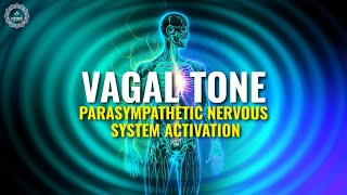 Vagal Tone  Parasympathetic Nervous System Activation  Vagus Nerve Stimulation  741hz Pure Tone [upl. by Halet]