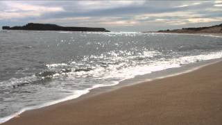 Relax  5 minutes of Sand and Sea  Sounds of Nature  Sleep Sounds [upl. by Antonie247]