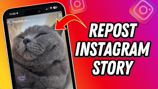 How To Share Someone Story in Your Own Story Instagram 2024 [upl. by Yasnyl]